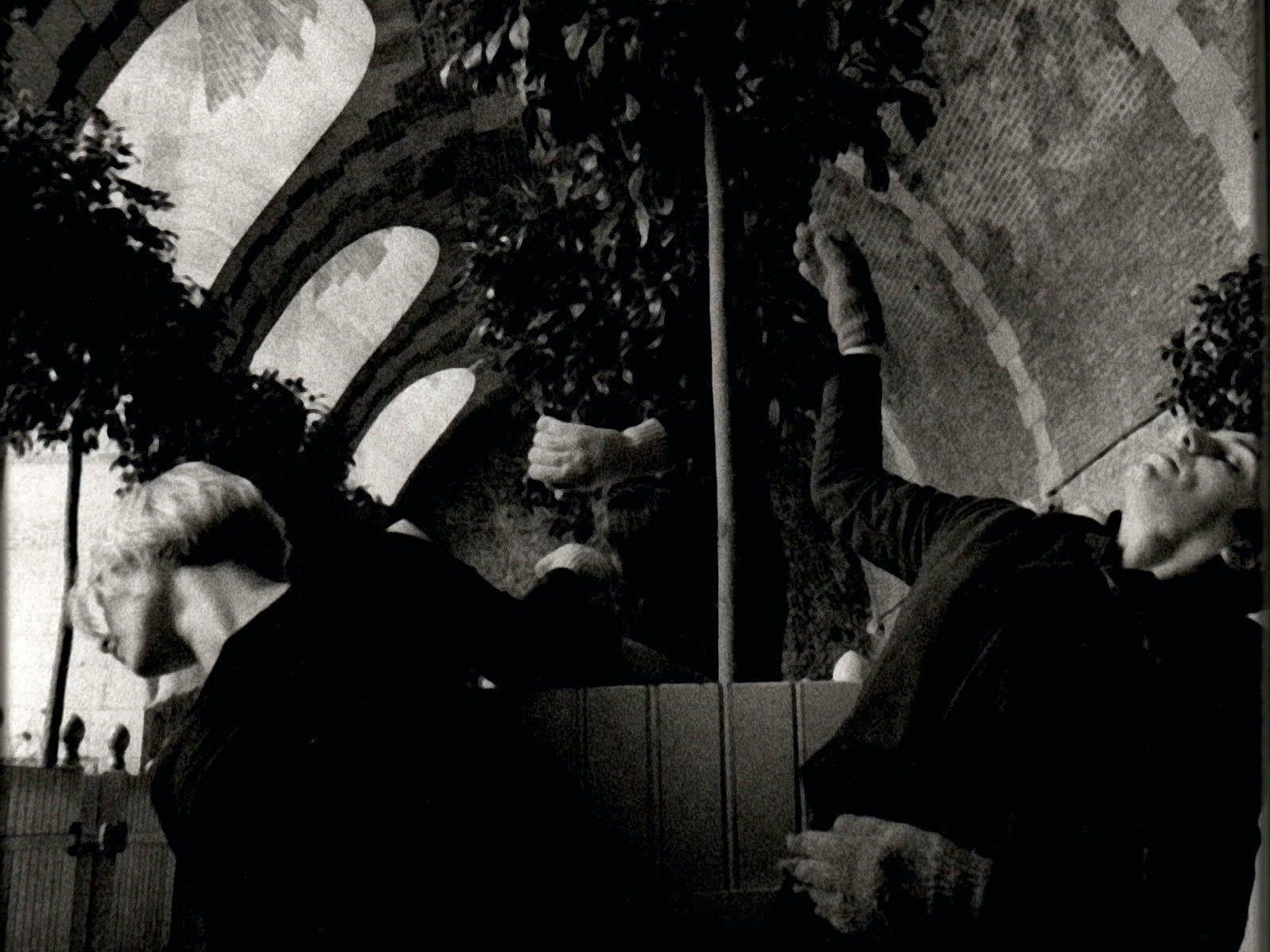 « Vocifëre et délitëre », Brigitte Dumez