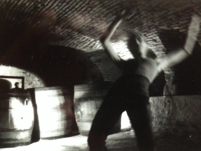 Ni chair ni pierre · Brigitte Dumez