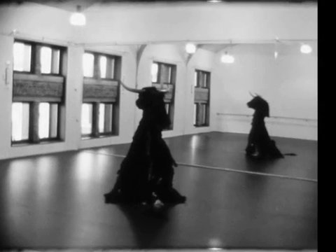 Minotauro · Tito Gonzalez Garcia