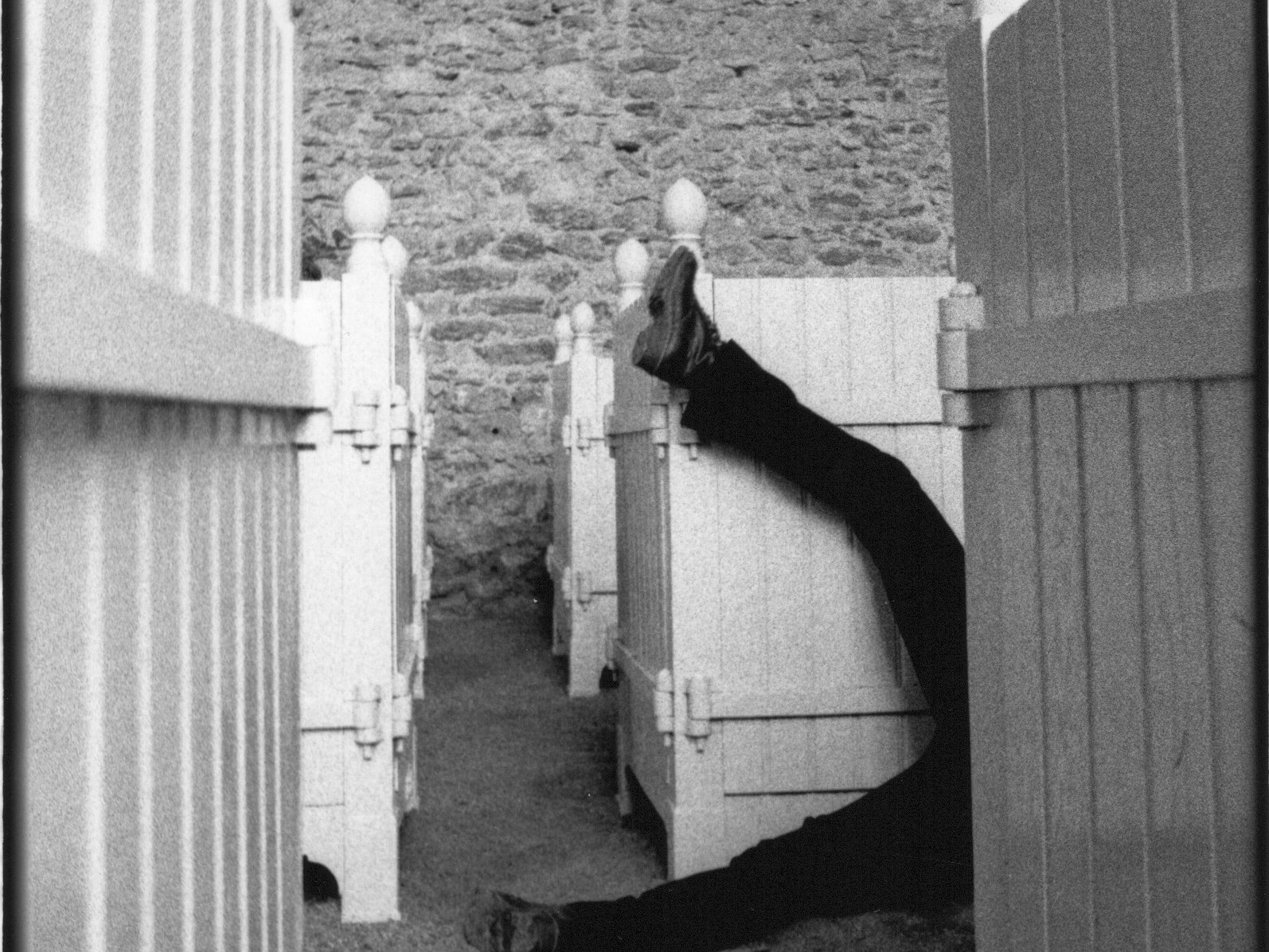 « Vocifëre et délitëre », Brigitte Dumez